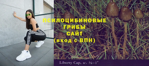 метадон Алексеевка