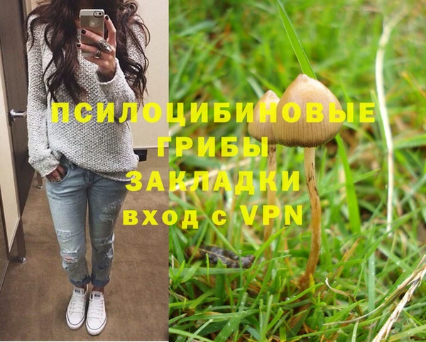 ALPHA-PVP Алексин