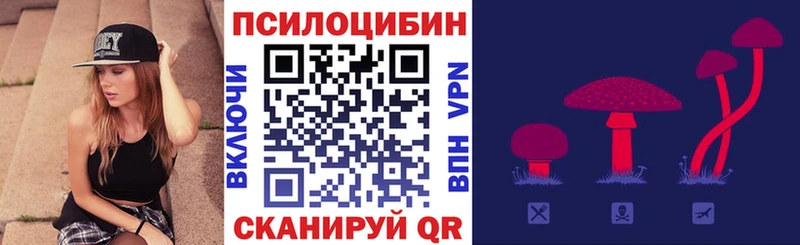 Псилоцибиновые грибы Cubensis  Красноармейск 